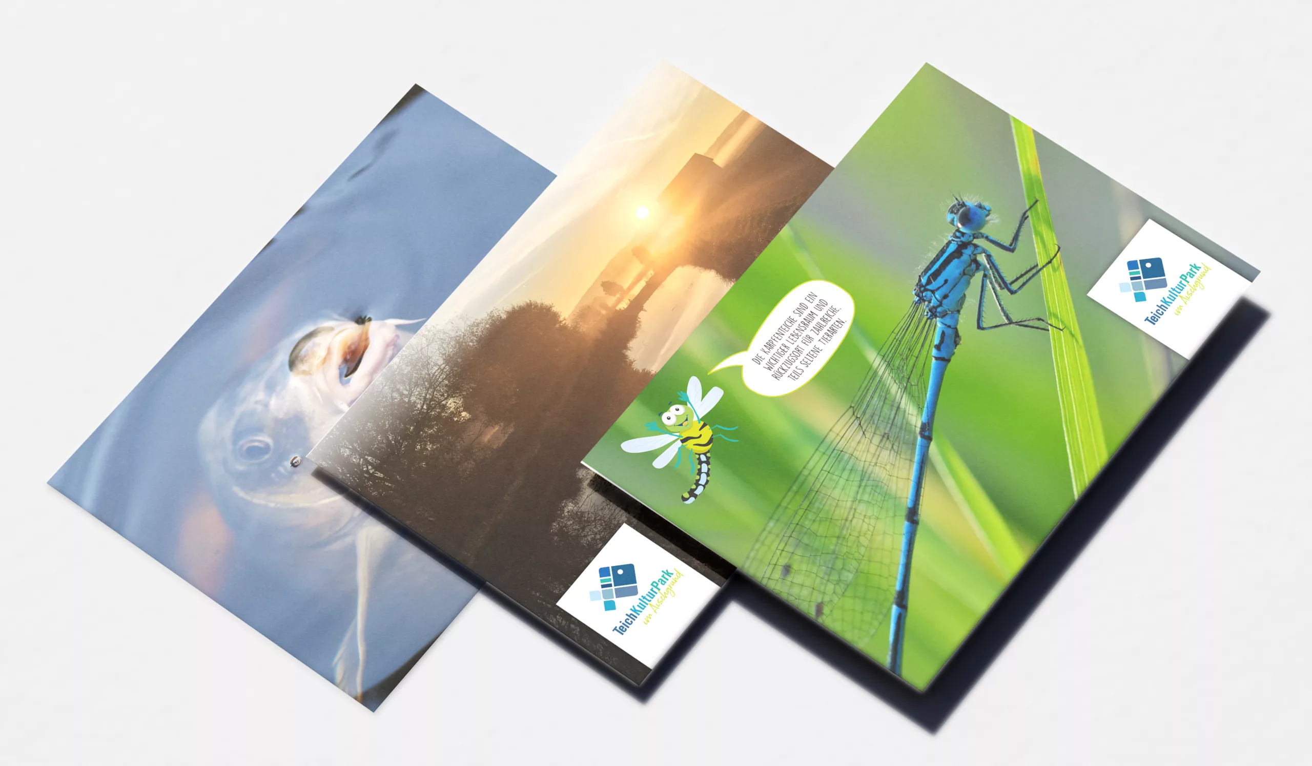 Postkarten TeichKulturPark