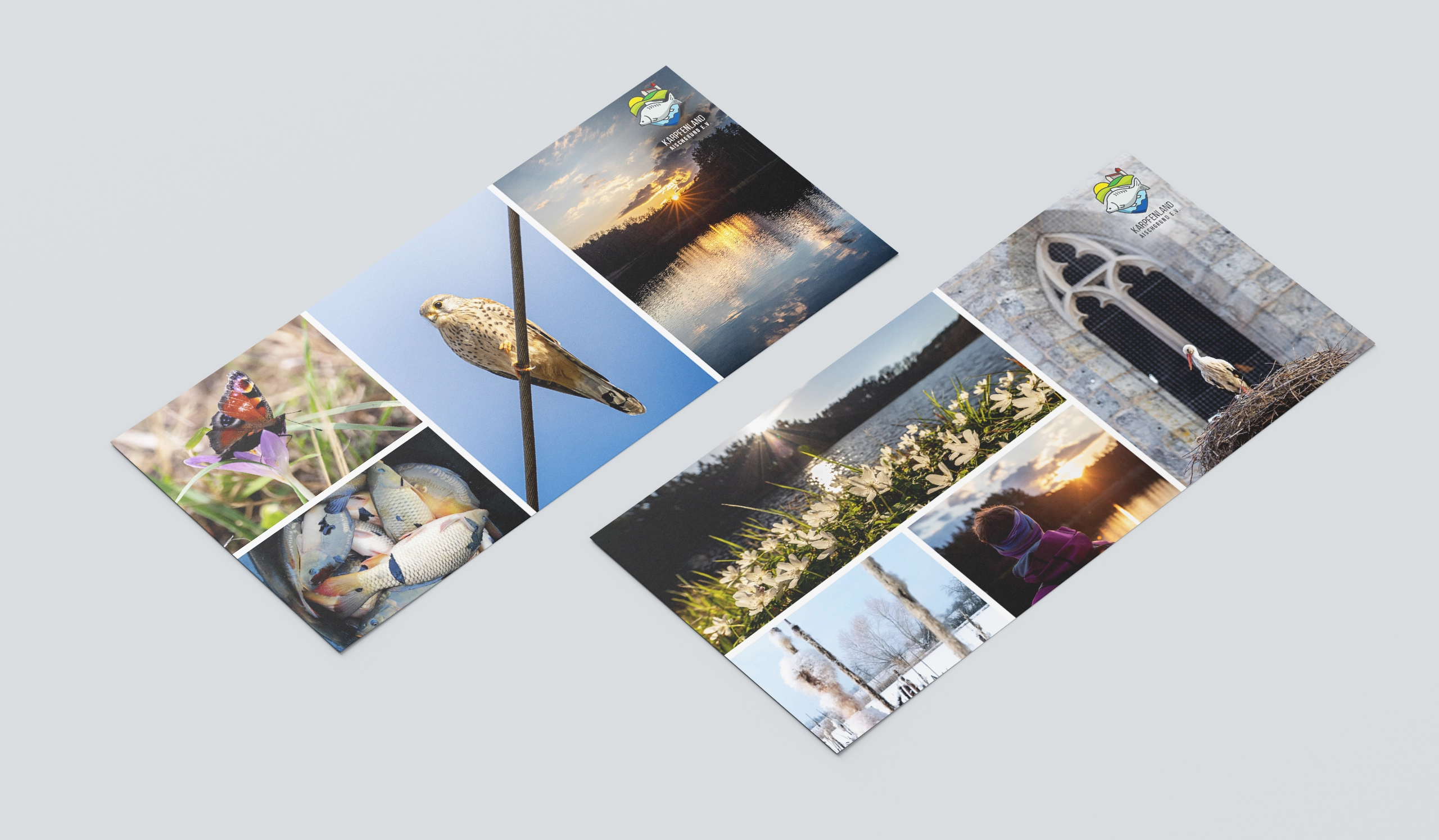 Postkarten Aischgrund