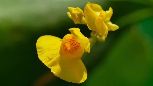 wasserschlauch wasserschlauch