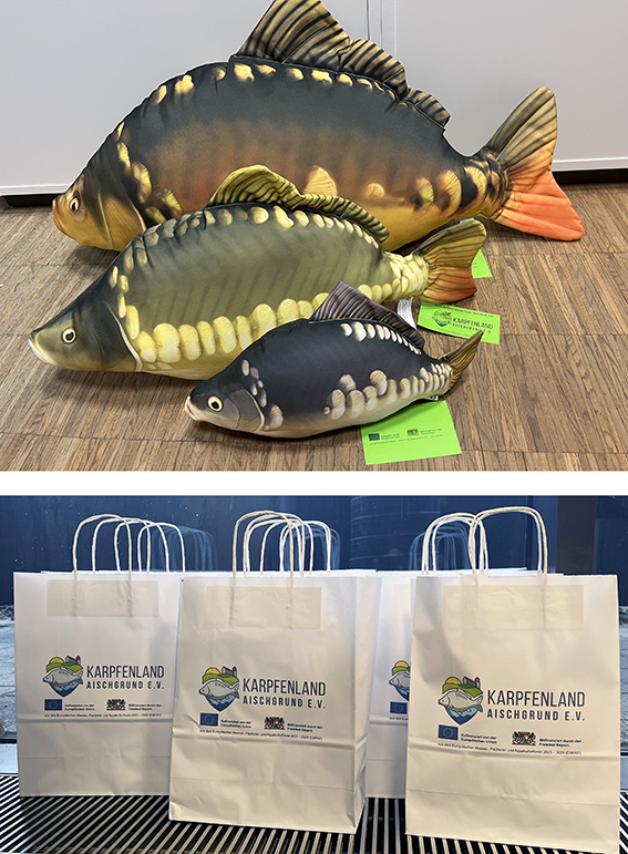 Karpfenkissen_Tueten